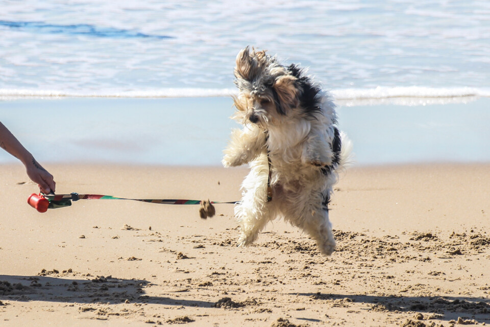 capitulo perfeito 20.jpg