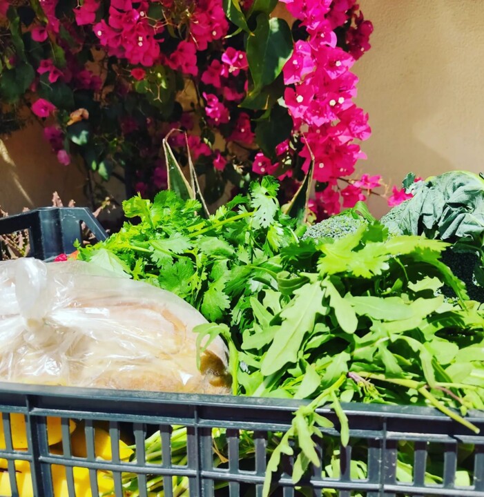 342971937_2347767362068461_8584022389851238994_n.j