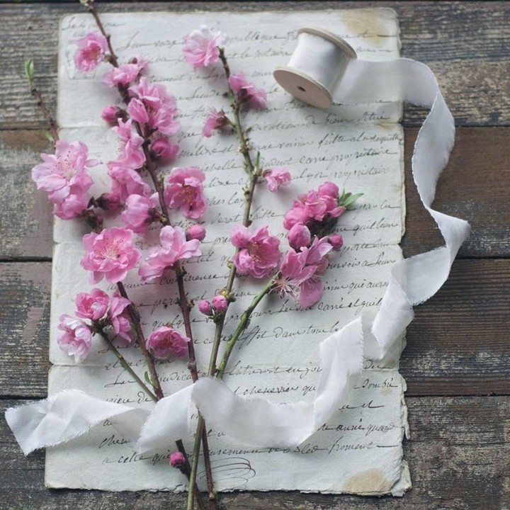 49022247_1916268951802301_2169078631895138304_n.jp