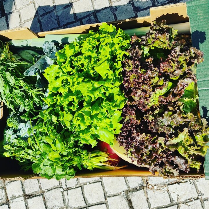 293753371_2362636410542773_8112662711813577611_n.j