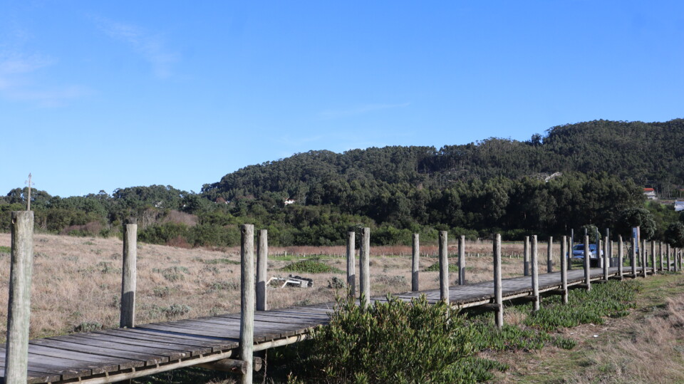 PINHEIRO NATAL AFIFE 25_7296.JPG