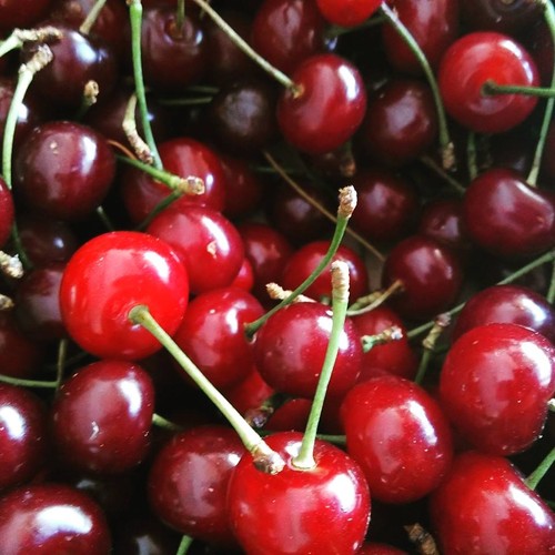 13686788_731038837035880_8029041140032129427_n.jpg 13686788_731038837035880_8029041140032129427_n.jpg