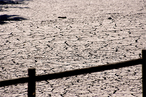 laco fundo.jpg laco fundo.jpg