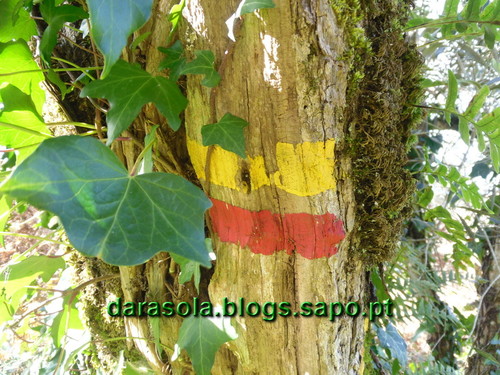 Penacova_22.JPG Penacova_22.JPG