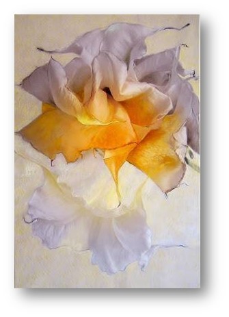 14732144_1177861088948332_8318540573872466466_n1.j 14732144_1177861088948332_8318540573872466466_n1.j