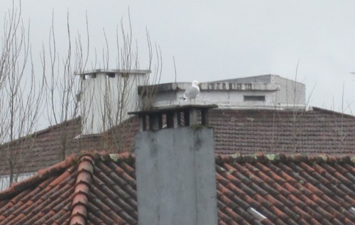 IMG_4136 (3).jpg IMG_4136 (3).jpg