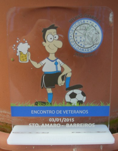 DSCN9287 - Cópia.JPG