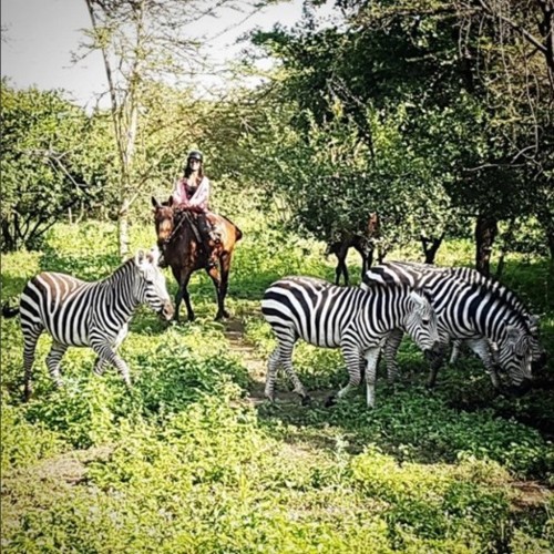 img_828x523$2017_06_23_12_00_13_66365.jpg img_828x523$2017_06_23_12_00_13_66365.jpg