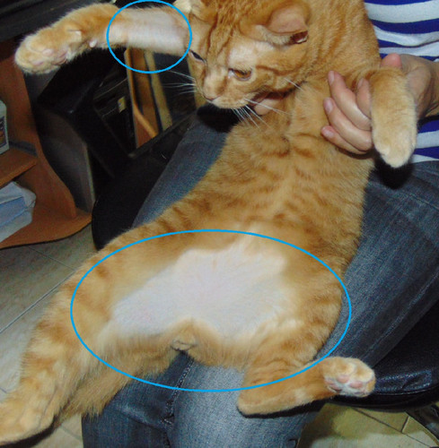 riscasdoidoi.jpg riscasdoidoi.jpg