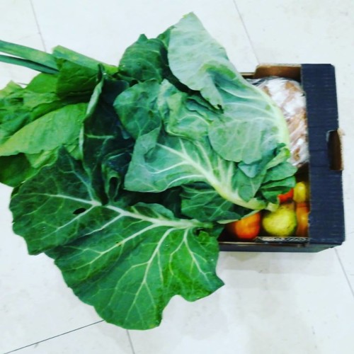 44243216_1227030570770035_8916615465300656128_n.jp 44243216_1227030570770035_8916615465300656128_n.jp