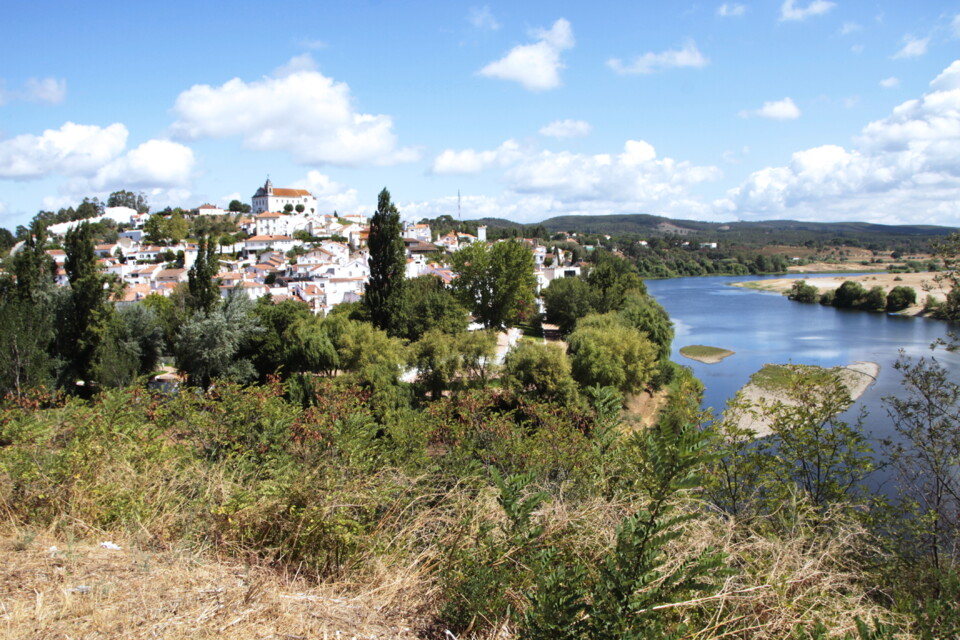 _MG_7903.JPG