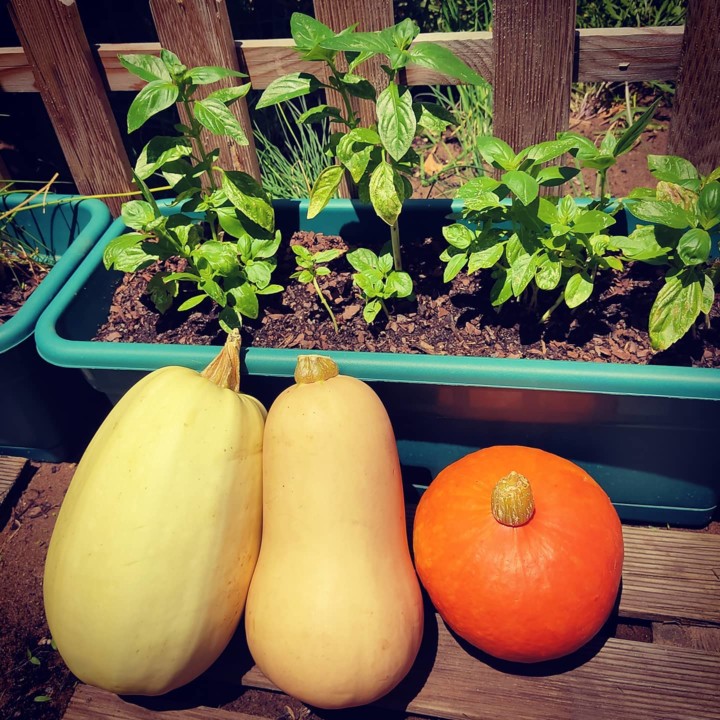 199146262_2054072724732478_2573861935942962558_n.j