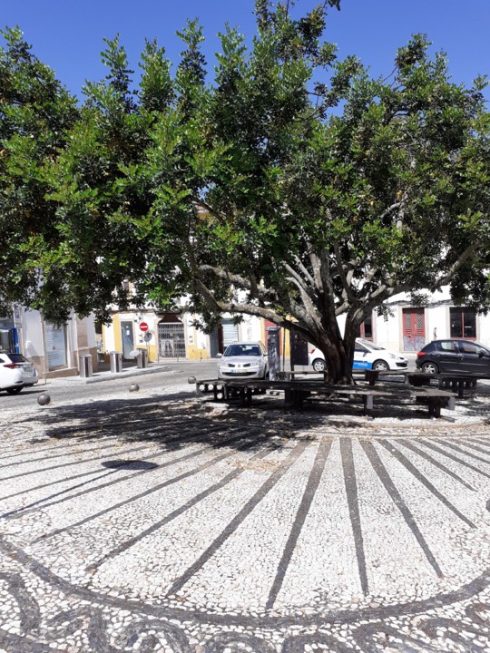 Portalegre. Foto original. 2021.06.14.jpg