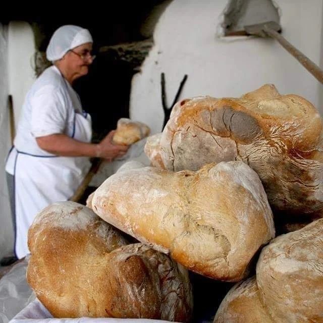 272218967_2219325711540511_4007504326005798155_n.j