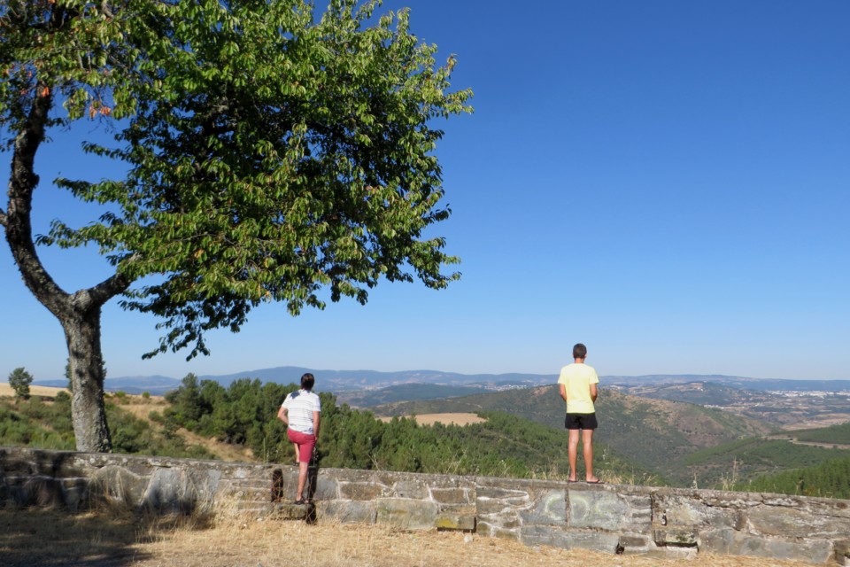 IMG_2783.JPG IMG_2783.JPG