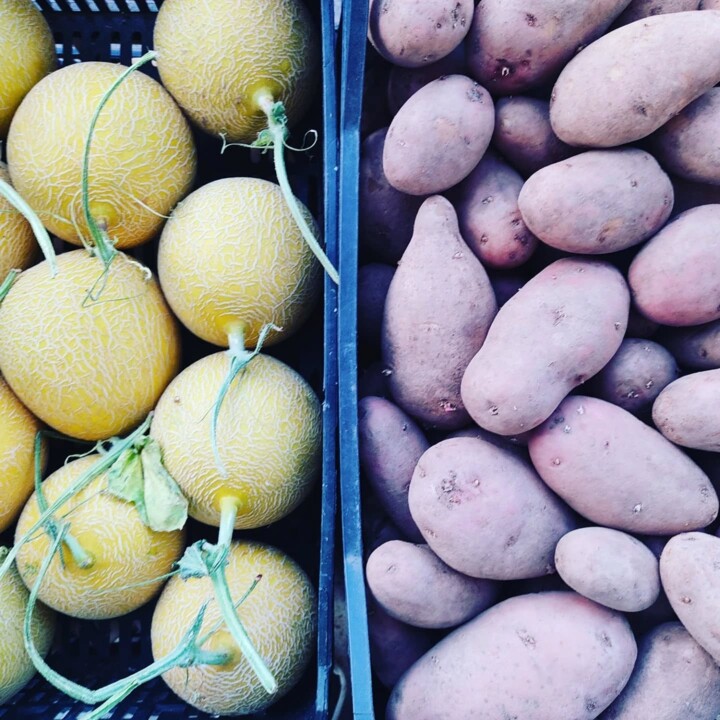 497853377_18478321792066958_5707258174258988661_n.