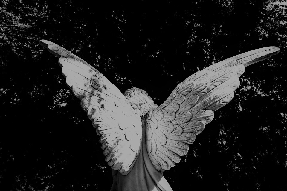 angel.jpg