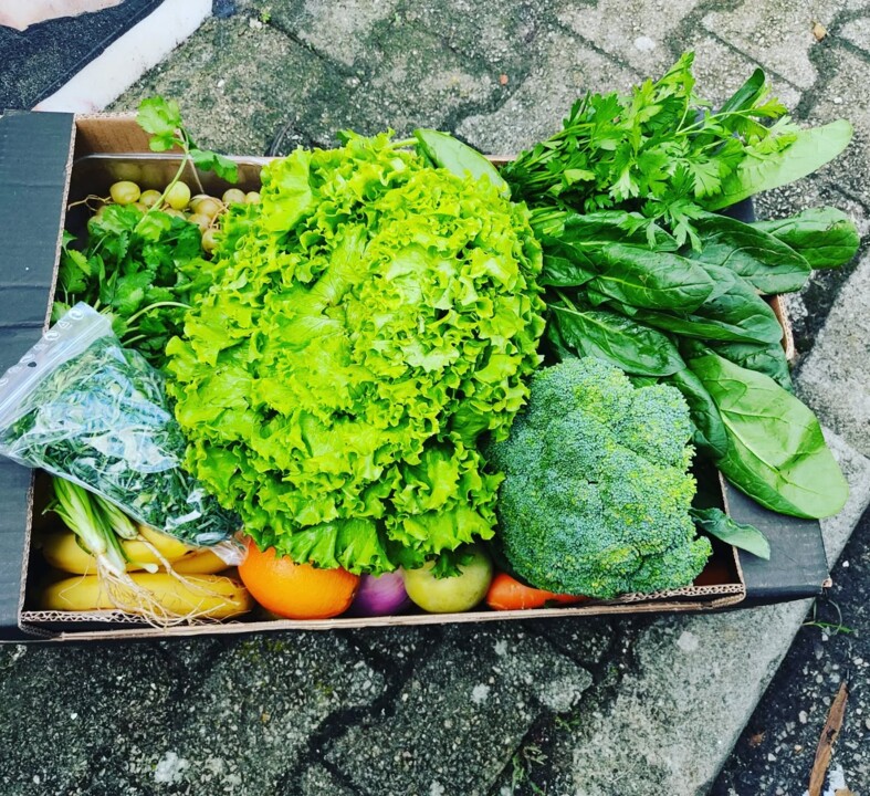 572894298_18509704588066958_7307182842929858555_n.