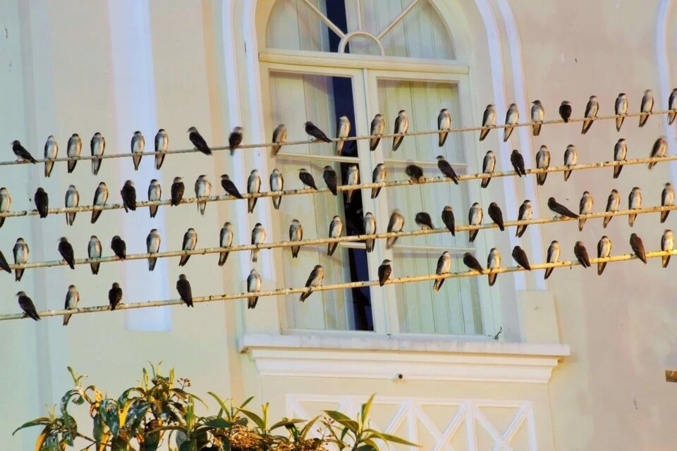 337003889_211323431549217_7229872728708558858_n.jp