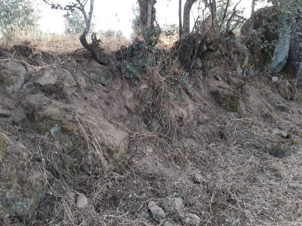 Fossada de javalis. Foto original. 2021.07.11.jpg