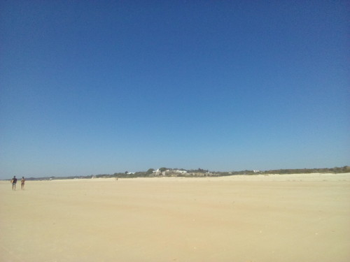 Cacela Original DAPL 2016.jpg Cacela Original DAPL 2016.jpg