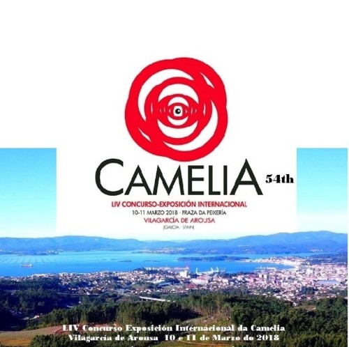 A - LIV Concurso Exposição Camelias - Vilagarcia
