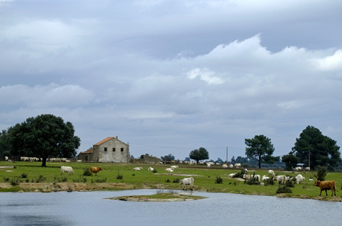 Blogue_paisagem23_Almeida2016.jpg Blogue_paisagem23_Almeida2016.jpg