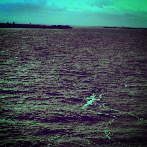 IMG_3533.JPG IMG_3533.JPG