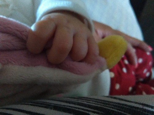 IMG_20170805_183122.jpg IMG_20170805_183122.jpg