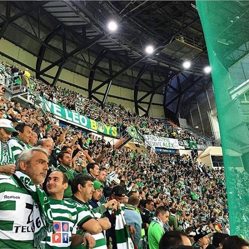 14370258_2113079608916366_6711664716622563267_n.jp