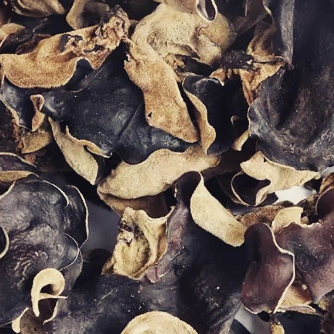 275994500_2261915477281534_2828206823999498669_n.j