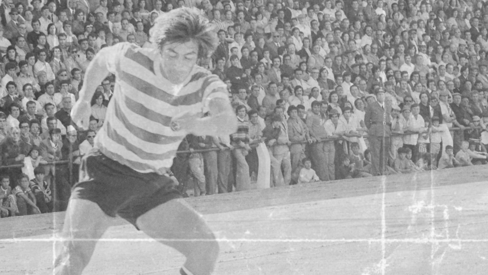 Cópia de Design sem nome.png