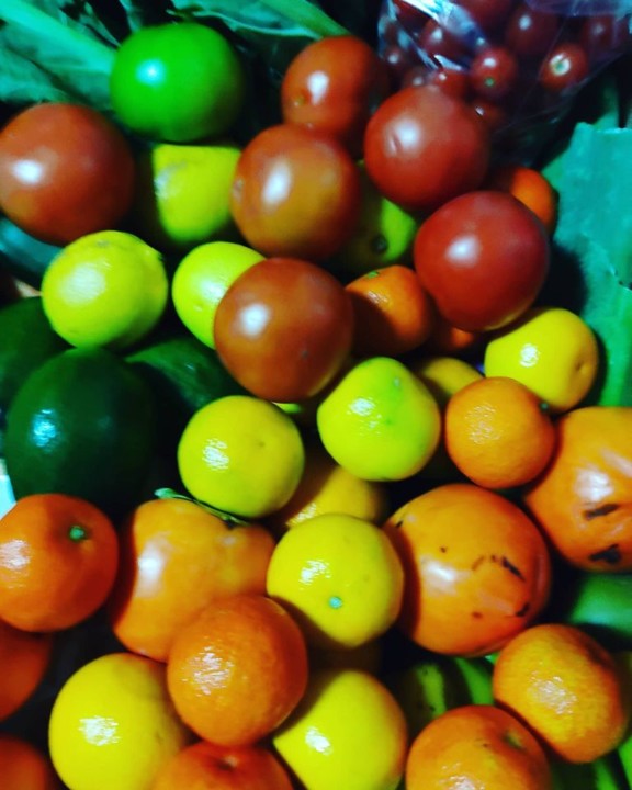 122745504_1851039108369175_7213015017161100801_o.j