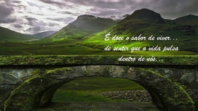 Nativo sabor de viver....jpg