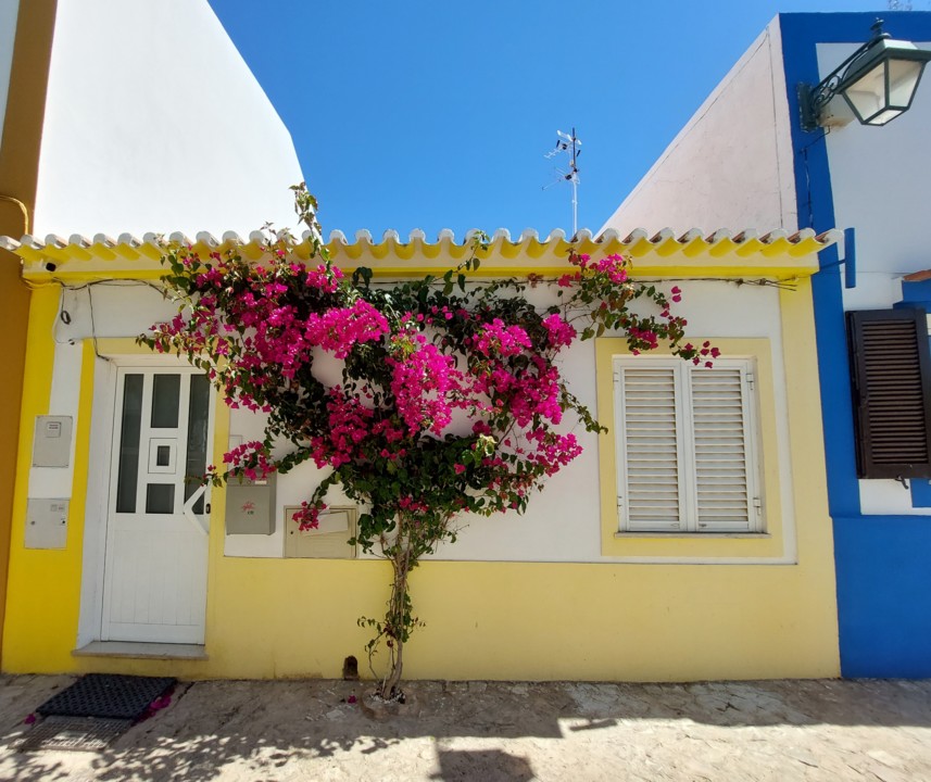 20210628_111336 (2).jpg