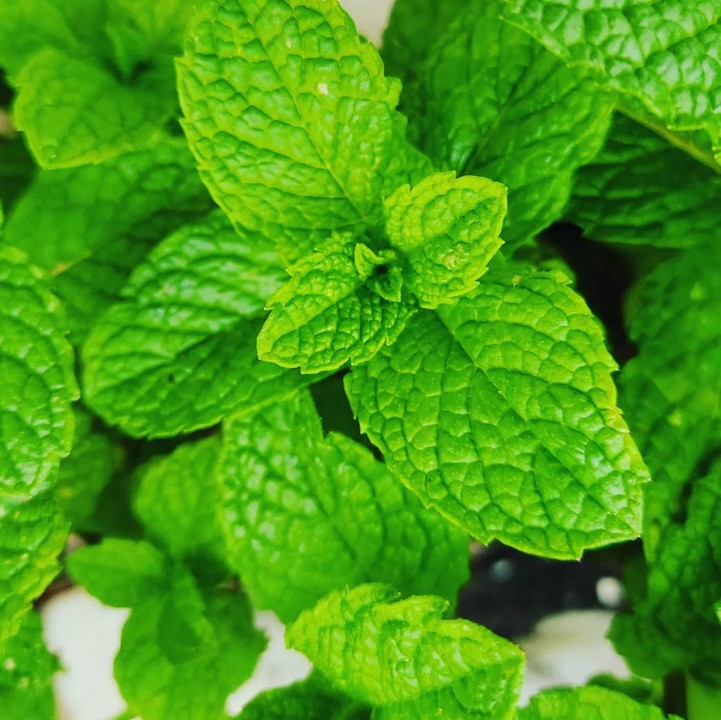 278109653_2281069342032814_2444477352638314240_n.j