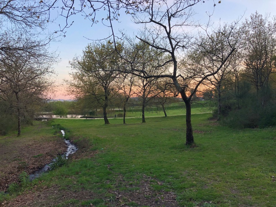 fim de tarde.jpg fim de tarde.jpg