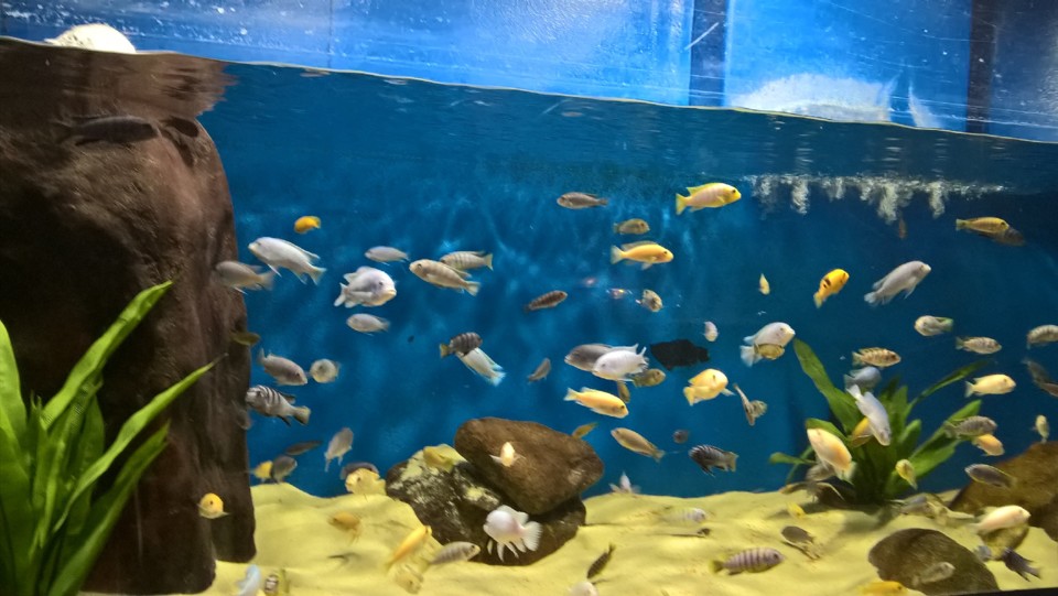 WP_20191023_15_44_48_Pro.jpg WP_20191023_15_44_48_Pro.jpg