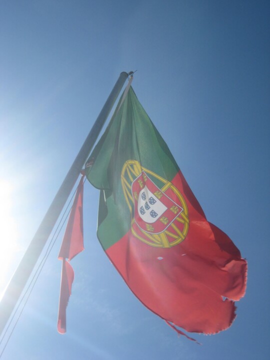 Não me canso disto bandeira.jpg