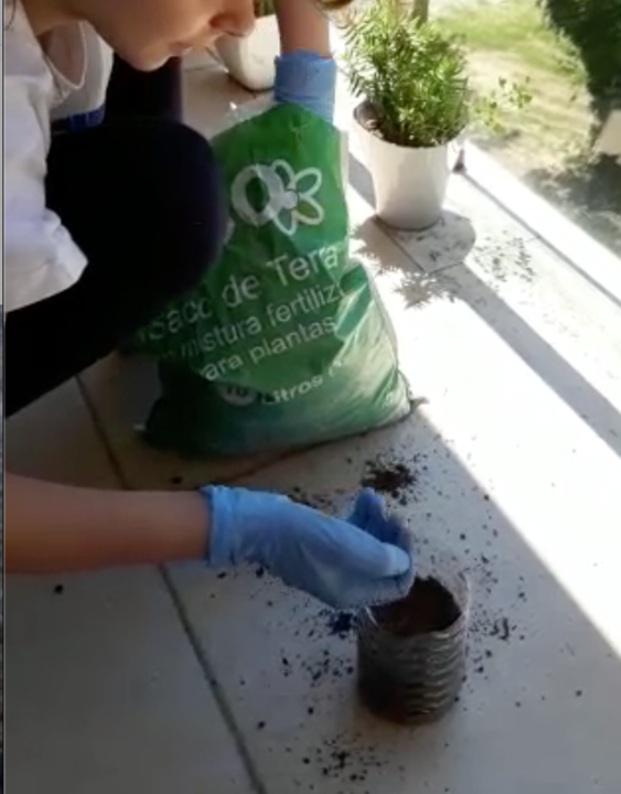 Captura de ecrã 2020-05-28, às 23.28.47.png