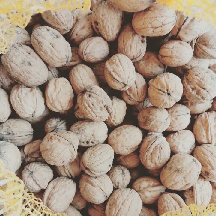 313347129_2451936341612779_7504537881307350418_n.j