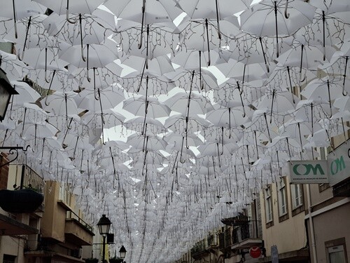 15a_Águeda (91).jpg