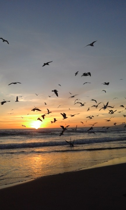 Costa Caparica. Foto original. 2020.08.24.jpg