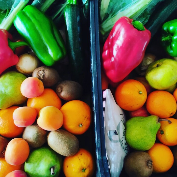 442471774_836019205222158_4755303196487317741_n.jp