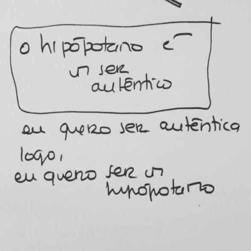 52276855_10216703813800036_2201693604223647744_n.j