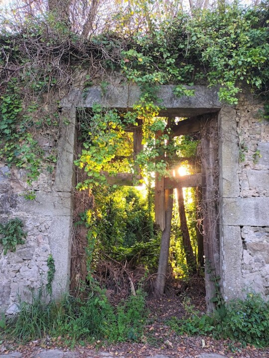 Não me canso disto porta.jpg