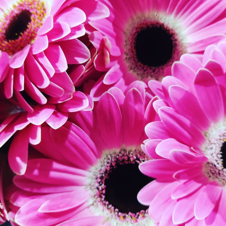 468326344_965706295586781_4246172851970153370_n.jp