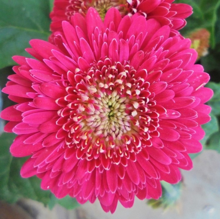 21469152_MHlIy.jpeg 21469152_MHlIy.jpeg