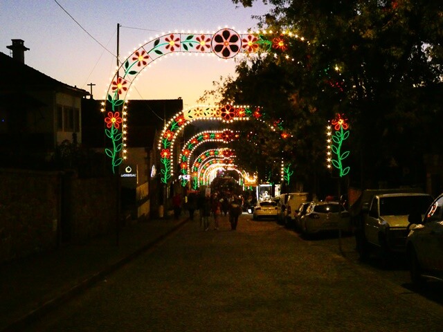 23c_Feira_das_Colheitas (79).JPG