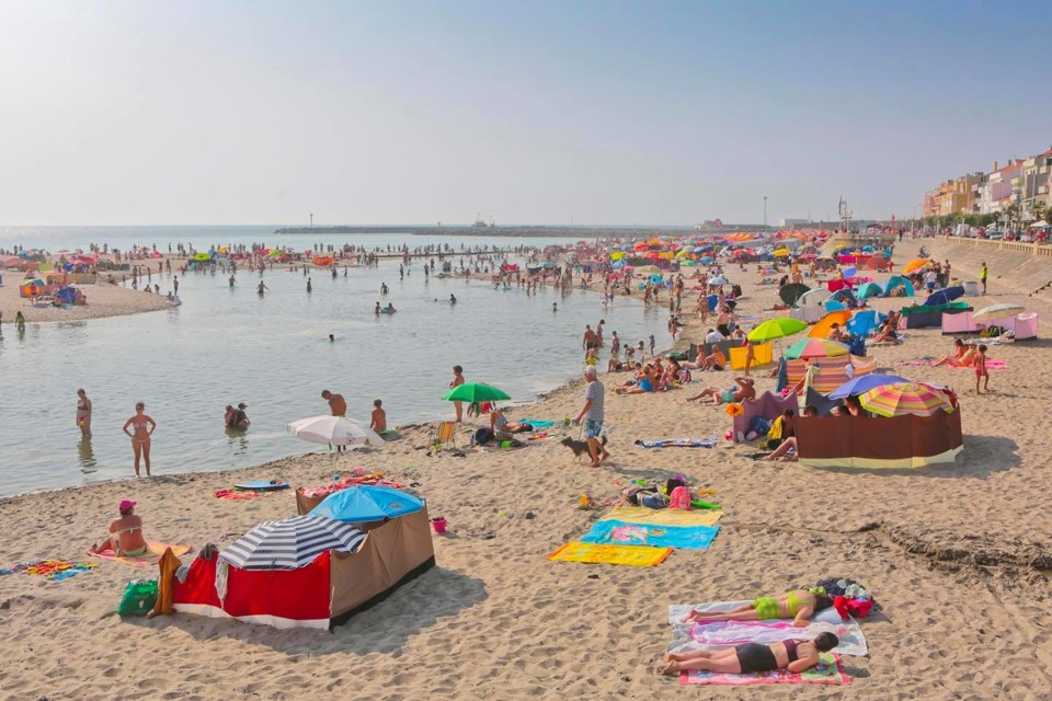 240605667_2035187673299192_1448173483587647106_n.j